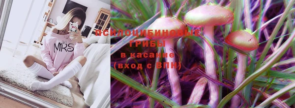стафф Балахна