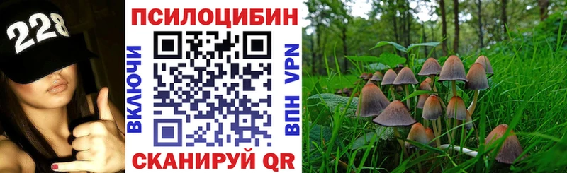 Псилоцибиновые грибы прущие грибы  Соль-Илецк 