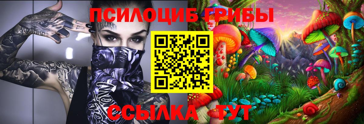 Соль-Илецк  Галлюциногенные грибы прущие грибы  Вход с VPN 